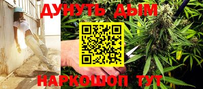 PSILOCYBIN Новозыбков