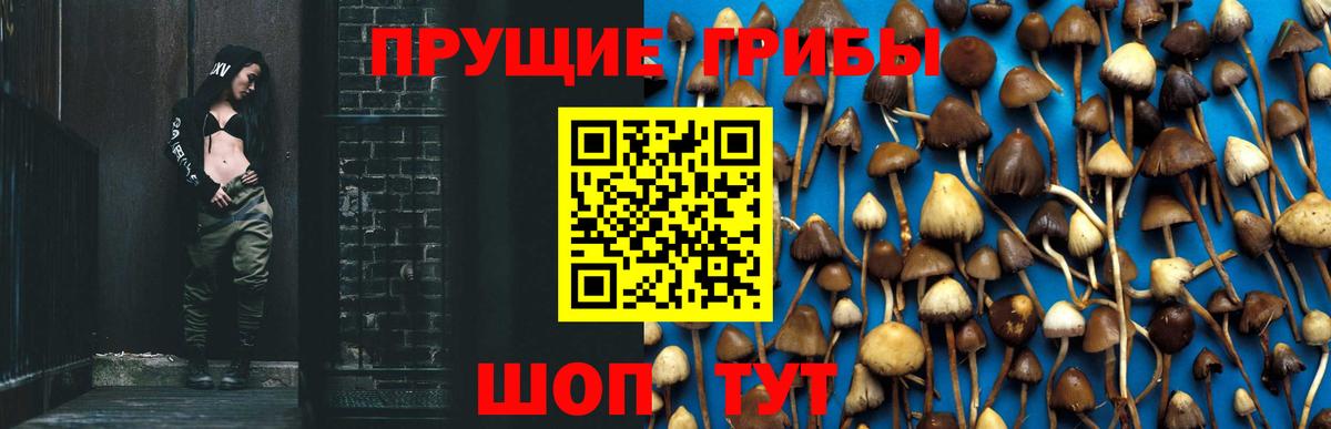 Псилоцибиновые грибы ЛСД  Вход с VPN  Ульяновск 